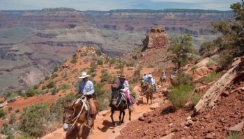 Things to Do at the Grand Canyon